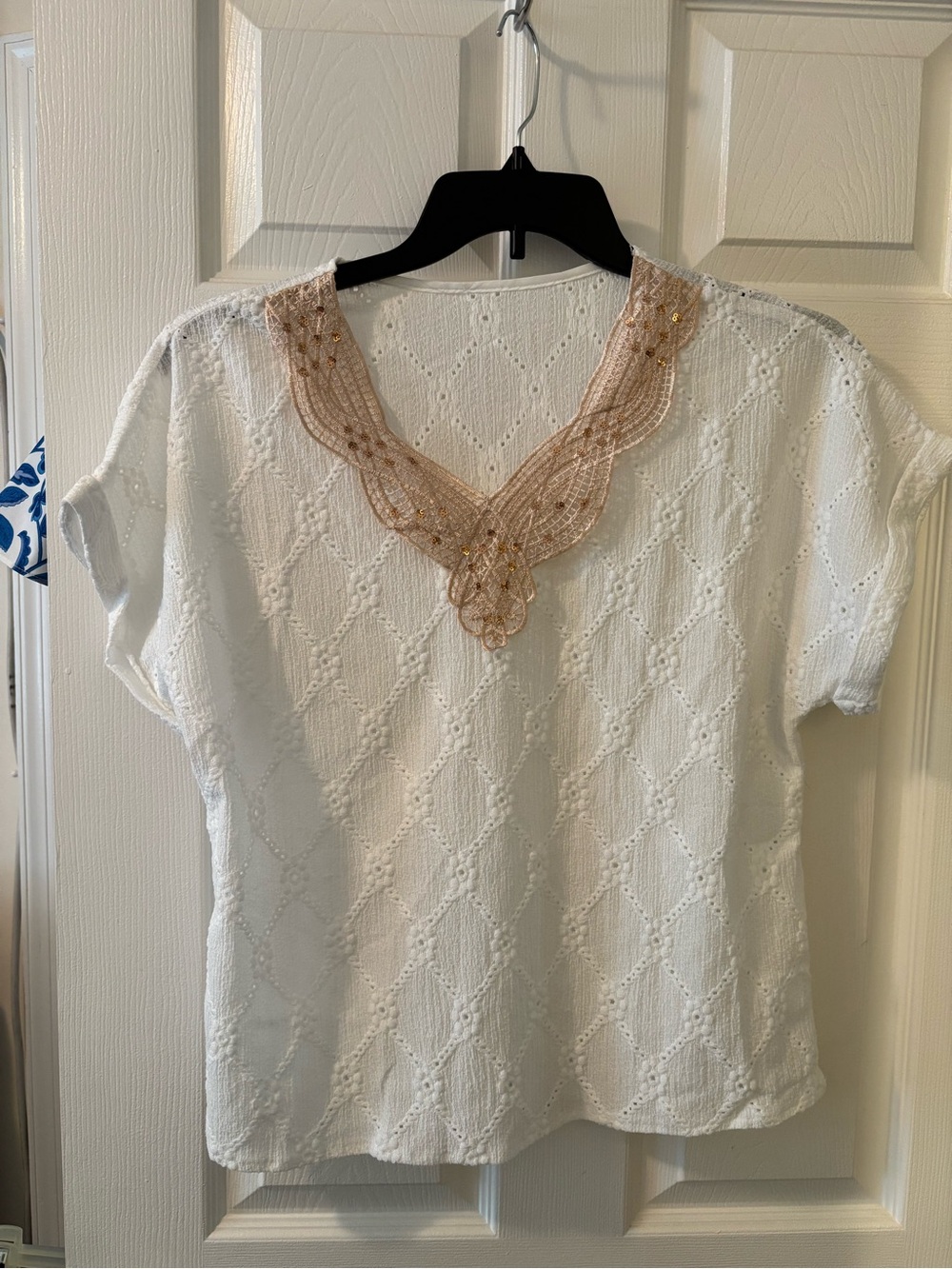 White Eyelet Short Sleeve Blouse with Tan Lace V-Neck Trim